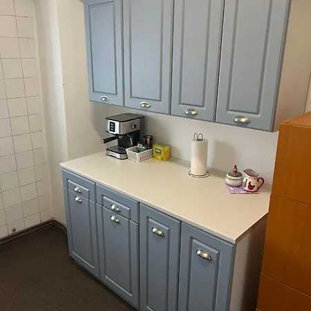 Downtown Apartment & Free Parking *